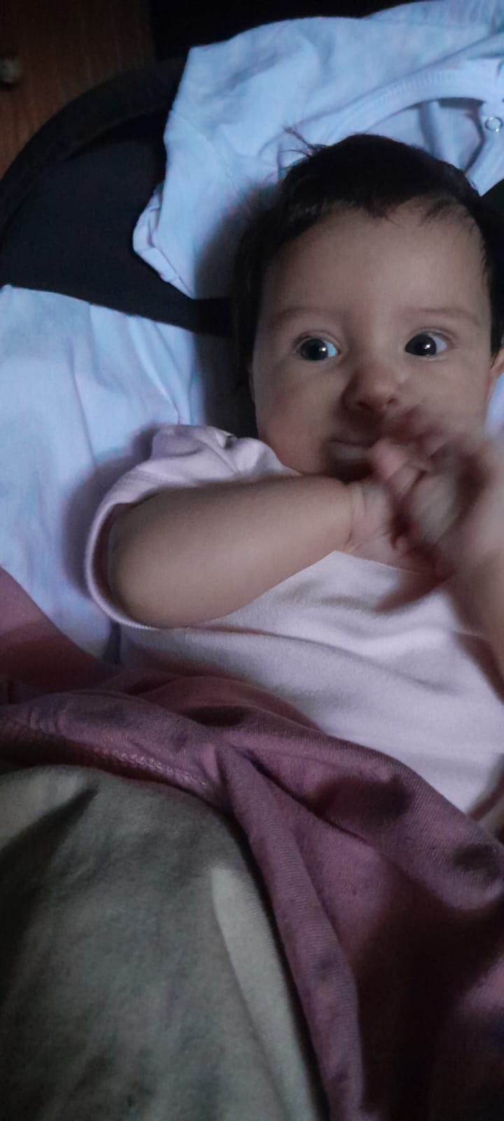 WhatsApp Image 2024-12-02 at 07.31.12.jpeg